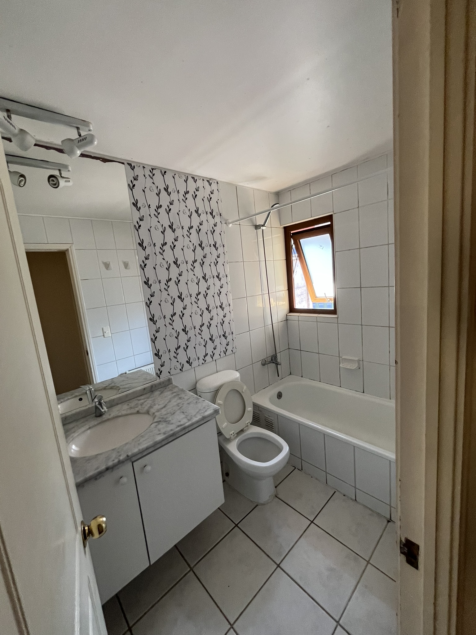 Baño antes de remodelación